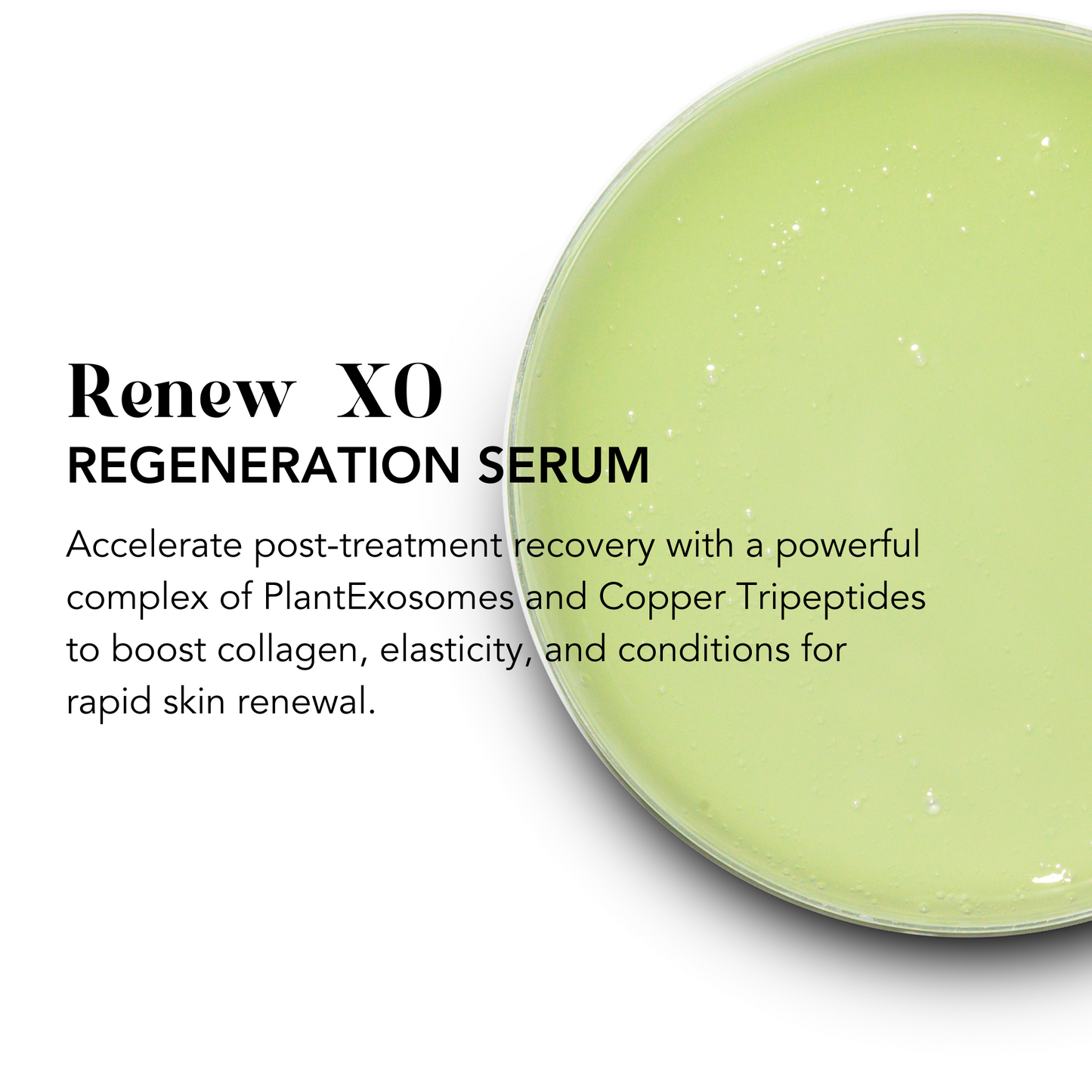 Renew XO | Regeneration Serum