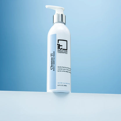 Cleanse IT - Professional